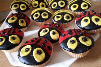 Ladybird and bumblebee cupcakes