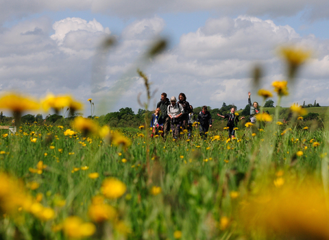 Group of people walking in a meadow