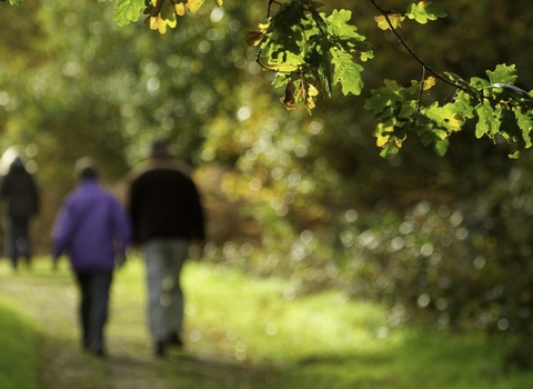 Couple walking down path through woodland, The National Forest, UK