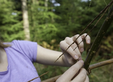 Willow weaving