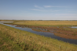 Frampton Marsh