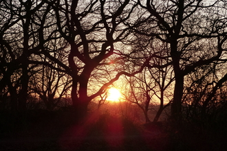 Whisby Nature Park