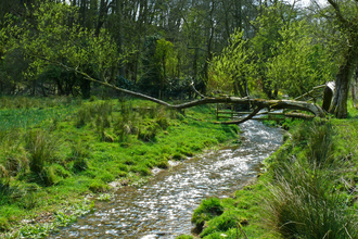 Swaby Vale chalk stream