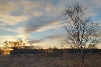 landscape image of Crowle Moor