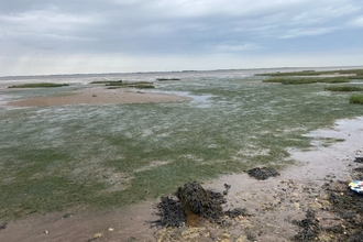 Spurn Point