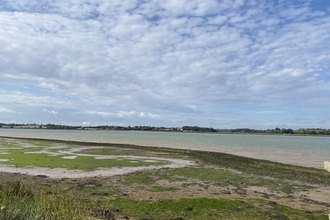 Trimley Marshes, Suffolk Wildlife Trust