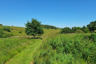 Snipe Dales nature reserve