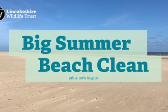 Big Summer Beach Clean logo