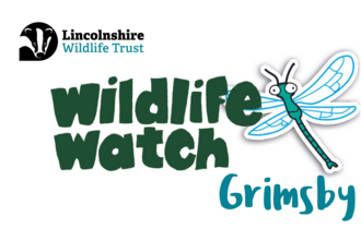 Wildlife Watch Grimsby