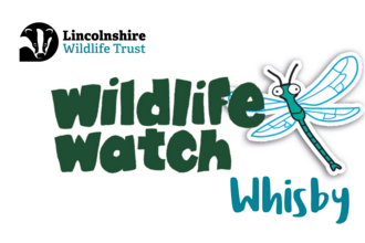 Wildlife Watch Whisby