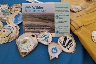 Wilder Humber stall Lincs Show oyster colouring