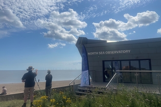 Whale watching at North Sea Observatory