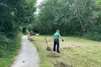 Whisby wardens diary July 2024 - volunteers raking mown grass