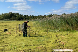 Moving temporary fencing to protect expanding reedbed at Whisby