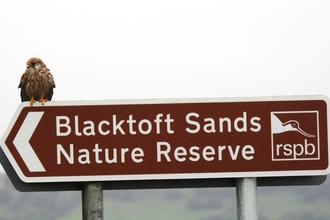 RSPB Blacktoft Sands road sign