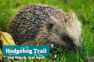 Hedgehog Trail infographic 2025