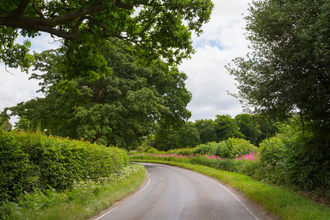 Hedgerows