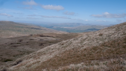 Upland acid grassland and rush pasture