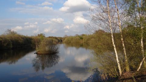 Whisby Nature Park