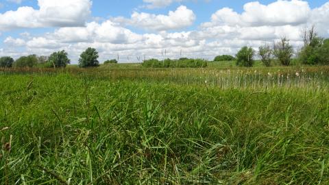 Baston Fen