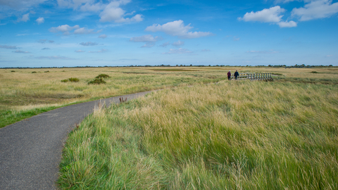 Gibraltar Point