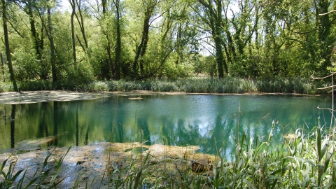 Tetney Blow Wells