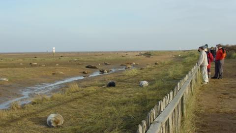 Donna Nook