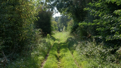 Willoughby Branch Line