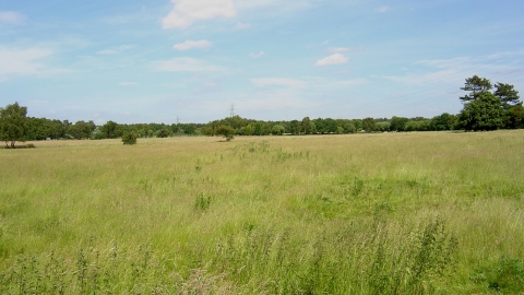 Scotton Common