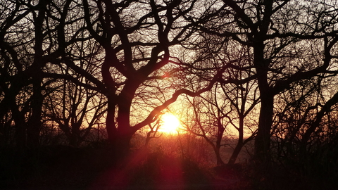 Whisby Nature Park