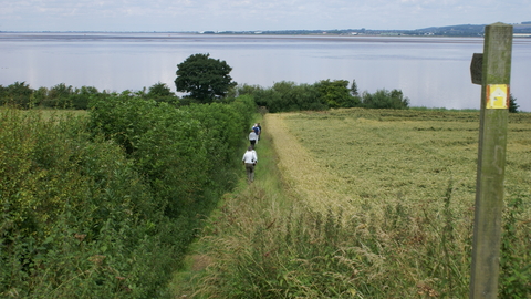 Footpath leading to the Humber estuary