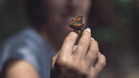 person with butterfly on their fingers