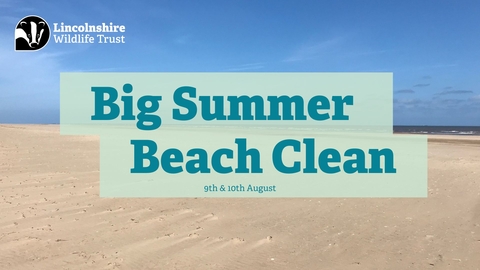 Big Summer Beach Clean logo