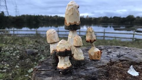 whittled mushrooms