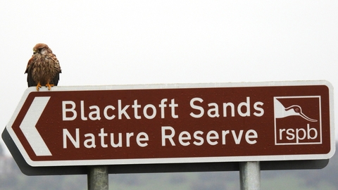 RSPB Blacktoft Sands road sign