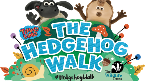 Timmy and Apricot above the caption: The Hedgehog Walk