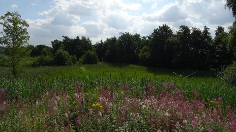 messingham sand quarry sunny day