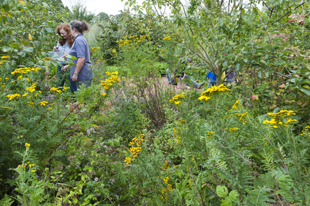 Community garden