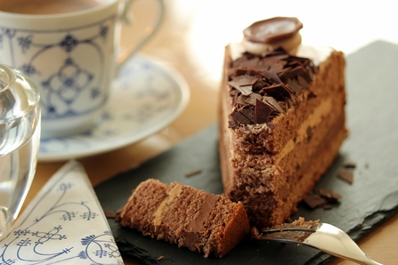 Chocolate cake