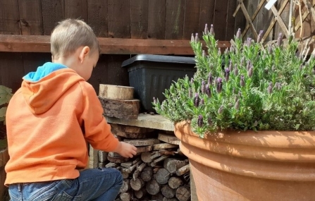 Boy building a bug hotel