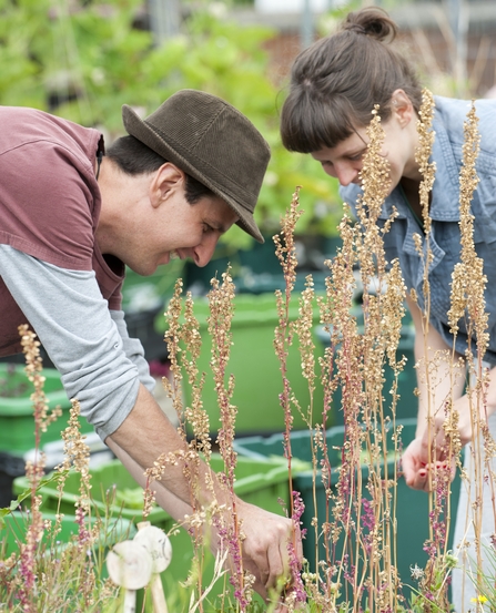 Gardening