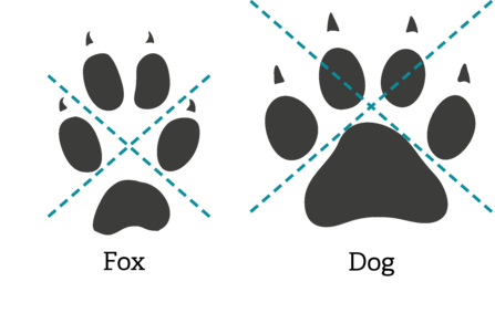 Fox track comparison