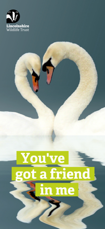 Mobile wallpaper with two mute swans and text "You've got a friend in me"