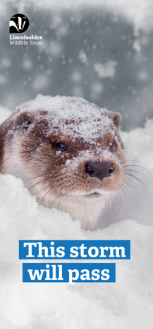 Mobile wallpaper with an otter in the snow and text "This storm will pass"