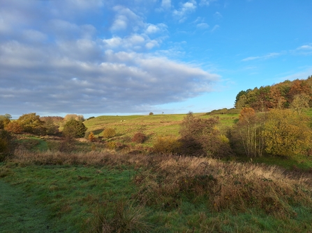 Snipe Dales in November