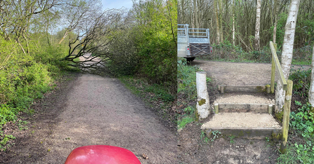 Clearing fallen tree from the path and working on steps at Whisby Nature Park