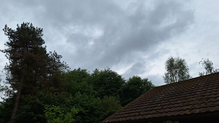 Dark clouds
