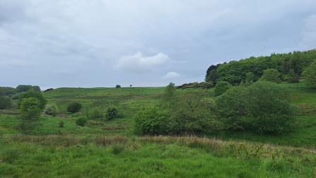 Snipe Dales in May