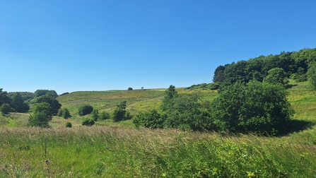 Snipe Dales in June