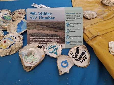 Wilder Humber stall Lincs Show oyster colouring